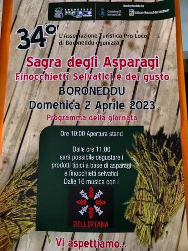 Sagra Degli Asparagi - Boroneddu
