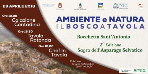 Sagra Dell'asparago Selvatico Di Rocchetta Sant'antonio - Rocchetta Sant'antonio