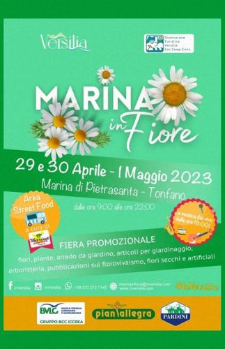 Marina In Fiore - Pietrasanta