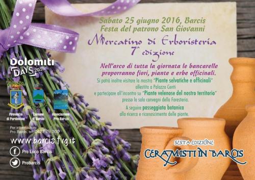 Festa Di San Giovanni A Barcis - Barcis