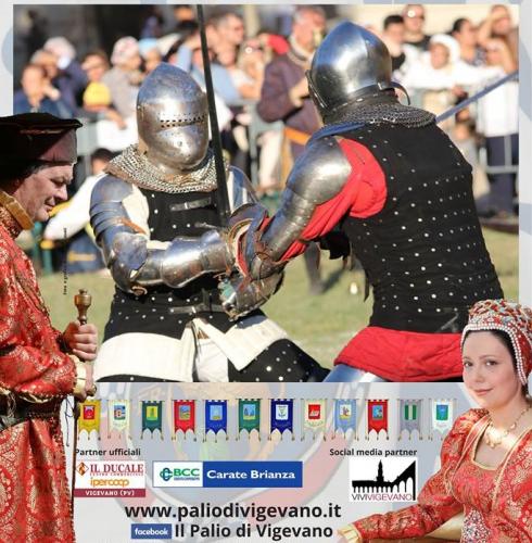 Palio Delle Contrade Di Vigevano - Vigevano
