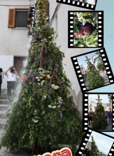 La Pagliara Maje Maje Di Fossalto - Fossalto