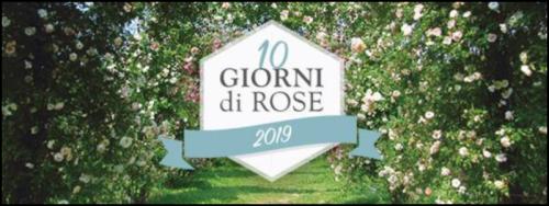Giorni Di Rose - Cervarese Santa Croce