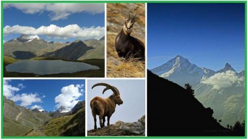 Parco Nazionale Del Gran Paradiso - Valsavarenche