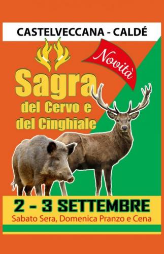 La Sagra Del Cinghiale A Castelveccana - Castelveccana