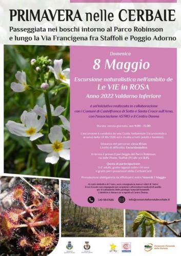 Festa Di  Primavera - Fucecchio