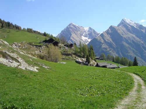 Festa Madonna Delle Nevi - Alagna Valsesia