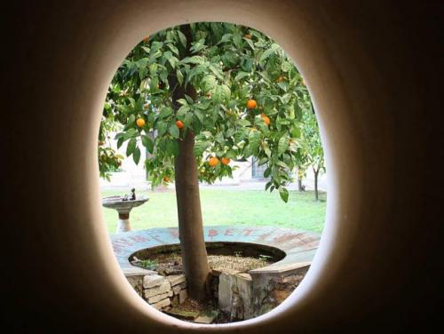 Le Domeniche Della Cultura A Roma - Roma