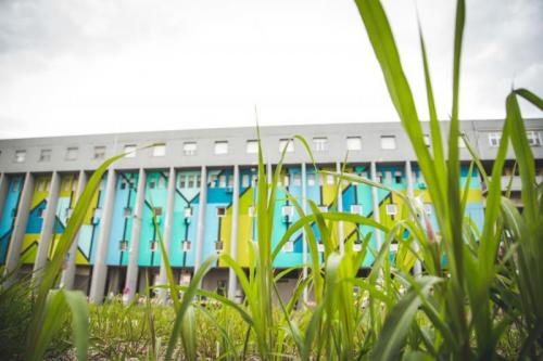 Mostre Nel Quartiere Lunetta Di Mantova - Mantova