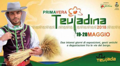 Primavera Teuladina - Teulada