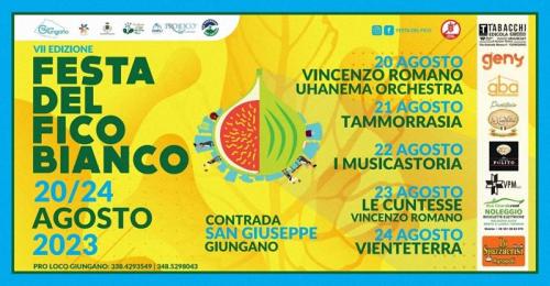 Festa Del Fico Bianco Del Cilento - Giungano