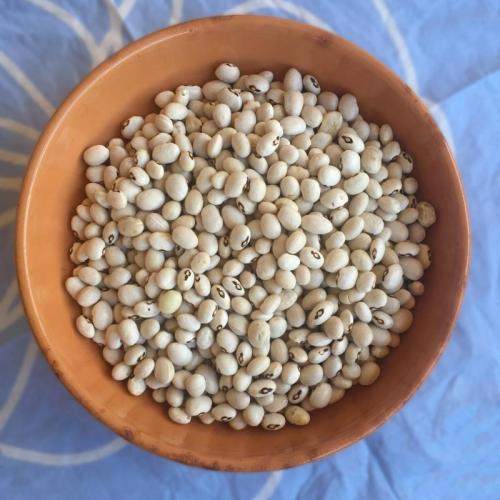 A Todi Fiorita Il Gusto Della Biodiversità Locale