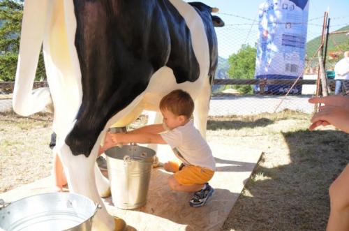 Il Successo Di Fior Di Cacio