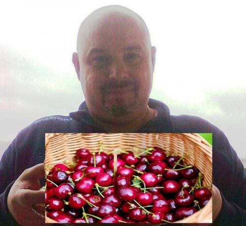 Festa Della Ciliegia Di Chiaiano