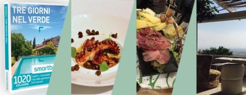 Sogni Nelle Notti Di Mezza Estate