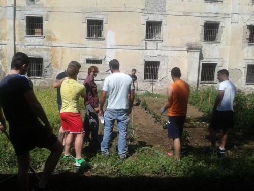 Detenuti Agricoltori, Prodotti Dell'orto Dal Campo Alla Tavola