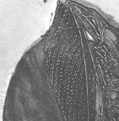 Sabato 18 Novembre Al Teatro Zancanaro