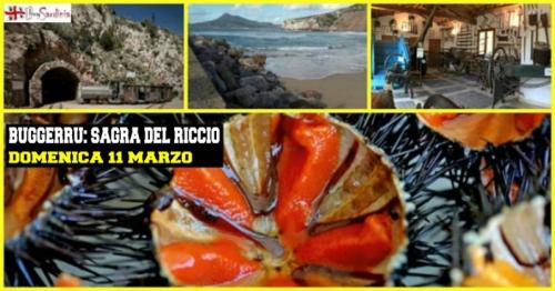 Sagra Dei Ricci A Buggerru Con Buysardinia