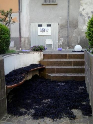 Programma Notte Viola