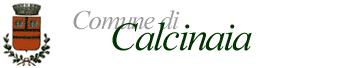 Comune Di Calcinaia Record Di Follower Sui Social