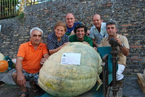 5 Sfida Della Zucca Gigante, A Metro E Stravagante 2016
