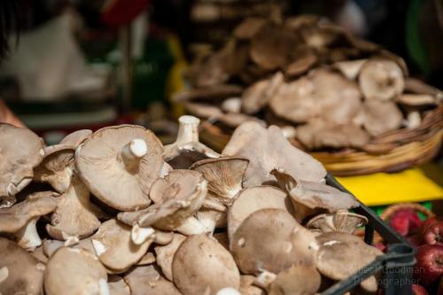 X Edizione Del Funghi Fest