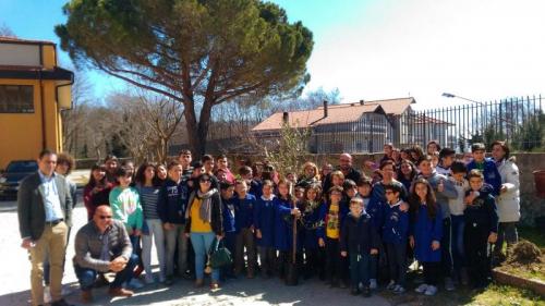 Festa Degli Alberi