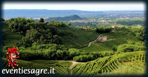 Foto Comune di Treviso