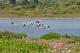 Birdwatching In Masseria
