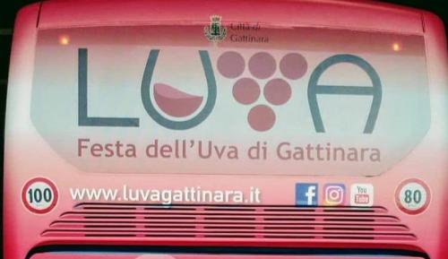Festa Dell'uva Di Gattinara - Gattinara