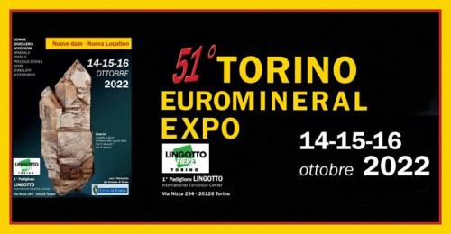 Euromineralexpo Torino - Torino