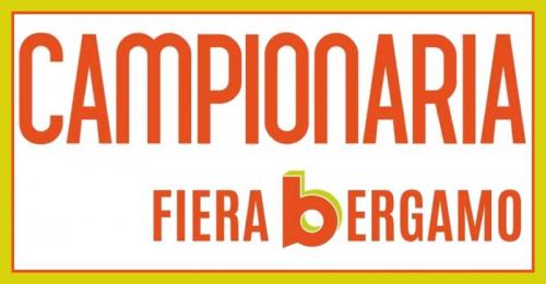 La Fiera Campionaria A Bergamo - Bergamo