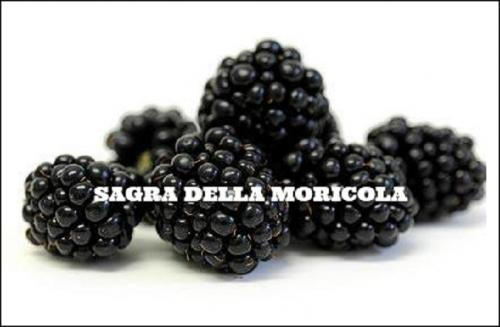 Sagra Della Moricola - Veroli