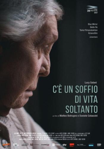 Torino Film Festival - Torino