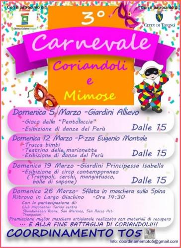Carnevale A Torino - Torino