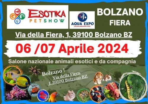 Esotika Pet Show A Bolzano - Bolzano