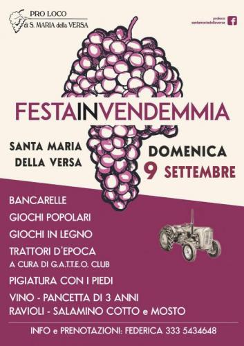 La Festa In Vendemmia A Santa Maria Della Versa - Santa Maria Della Versa