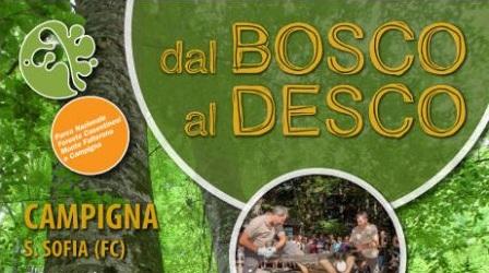 Dal Bosco Al Desco - Santa Sofia
