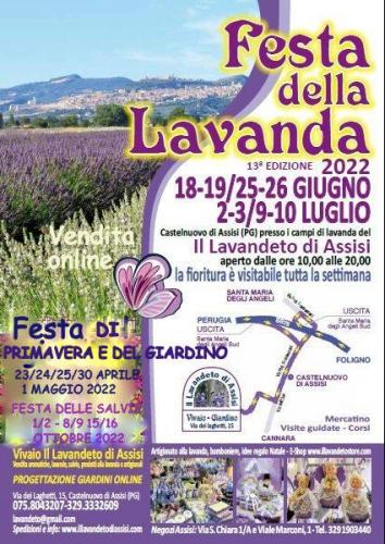 Festa Della Lavanda  - Assisi