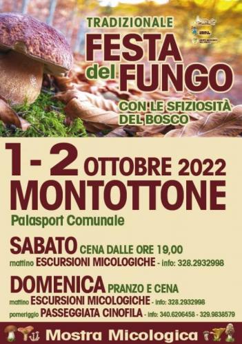 Festa Del Fungo A Montottone - Montottone