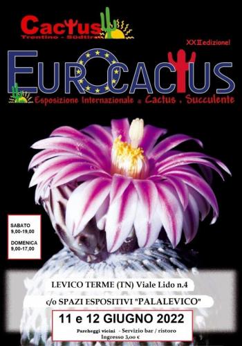 Eurocactus A Levico Terme - Levico Terme