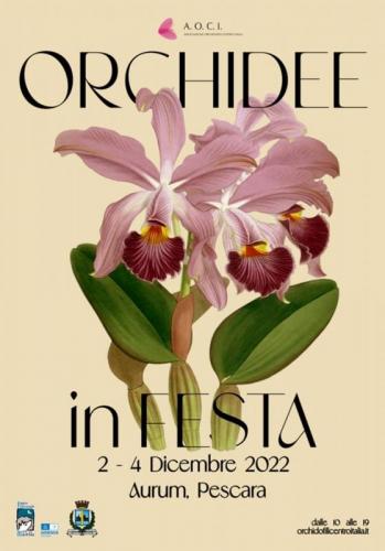 Orchidee In Festa A Pescara - Pescara
