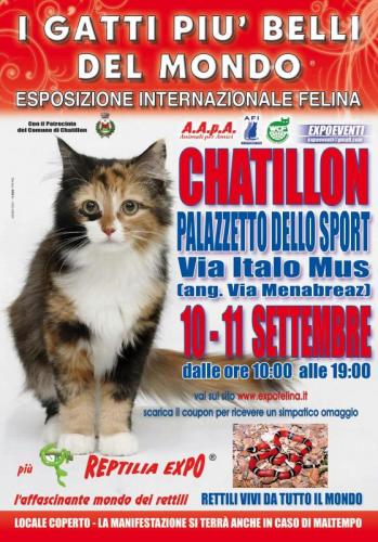 Esposizione Internazionale Felina - Chatillon