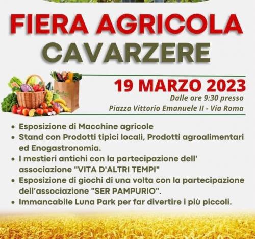 Fiera Agricola A Cavarzere - Cavarzere
