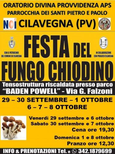 Festa Del Fungo Chiodino A Cilavegna - Cilavegna