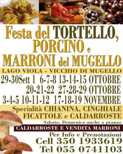 Festa Del Tortello Porcino E Dei Marroni A Vicchio - Vicchio