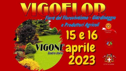 Vigoflor A Vigone - Vigone