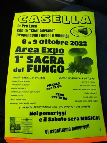 Sagra Del Fungo A Casella - Casella