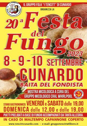 Festa Del Fungo A Cunardo - Cunardo