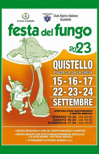 Festa Del Fungo A Quistello - Quistello